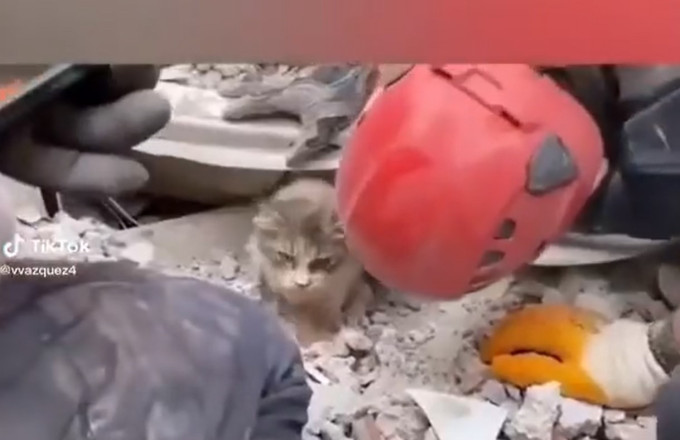 gataki