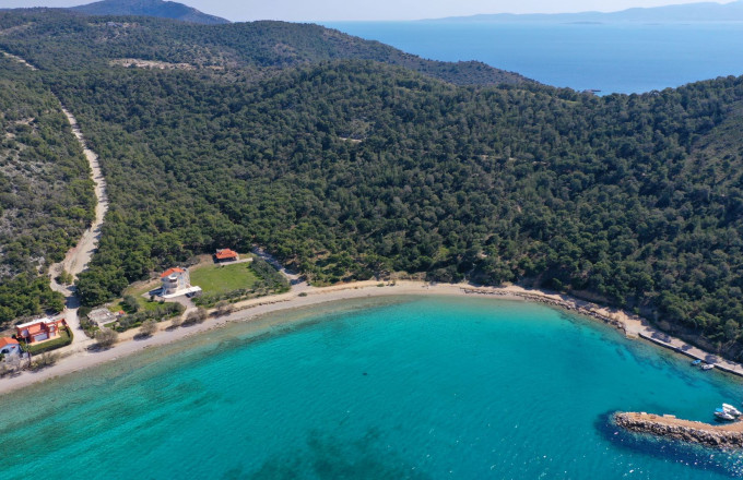 SALAMINA 