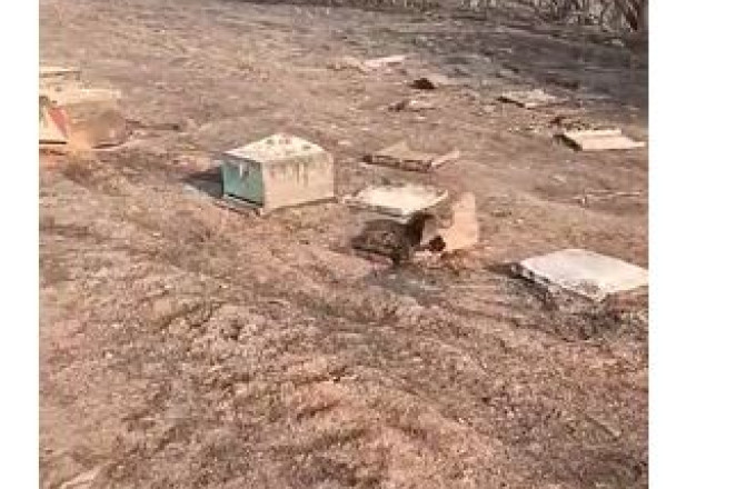ΕΛΓΟ Δήμητρα, σεμινάρια