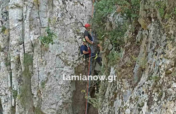 Πυροσβέστες