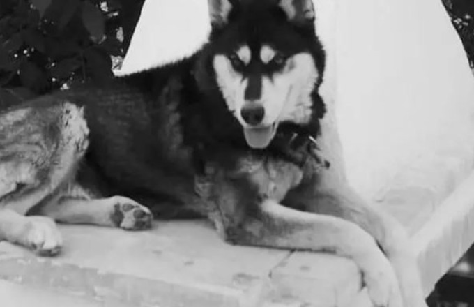 oliver