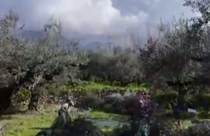 ΕΛΓΑ