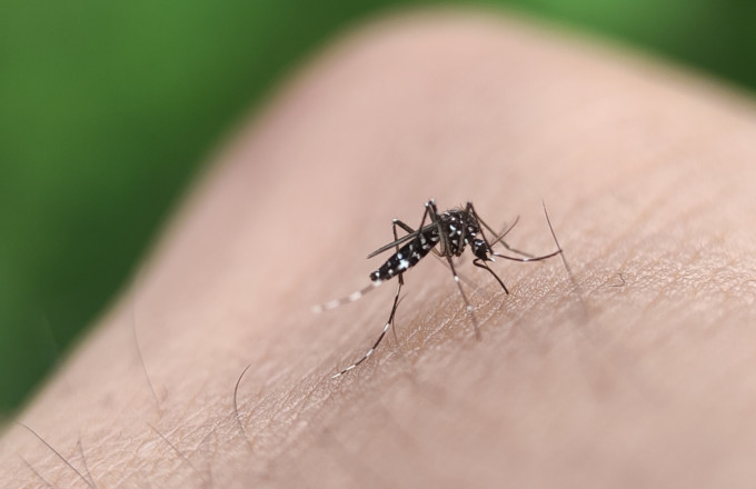 Increase in West Nile virus cases in Greece