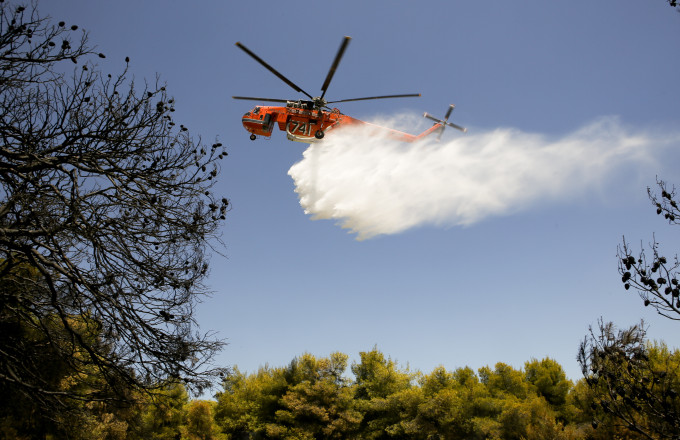 pzl