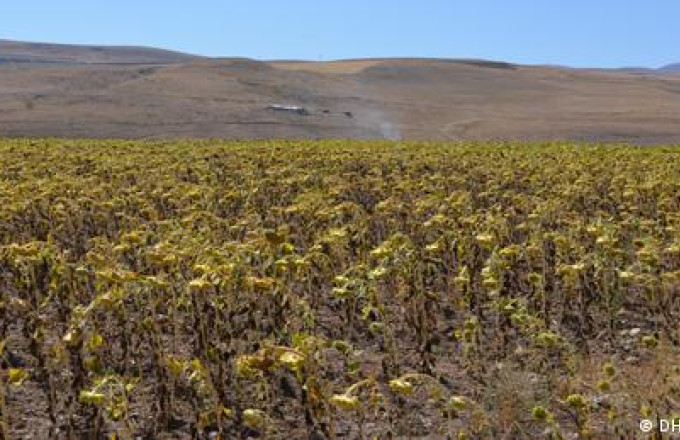 Η Τουρκία στα πρόθυρα επισιτιστικής κρίσης! +40% τα τρόφιμα.