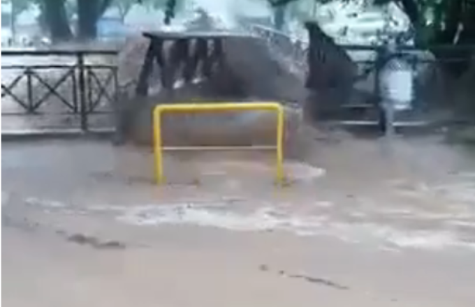 Κραυσίδνας