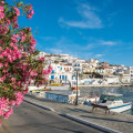 ανδρος 