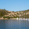 Δοκός