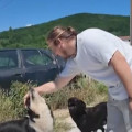 Βάβδος Χαλκιδικής: Οργή και θλίψη με τη μαζική δηλητηρίαση 21 σκύλων
