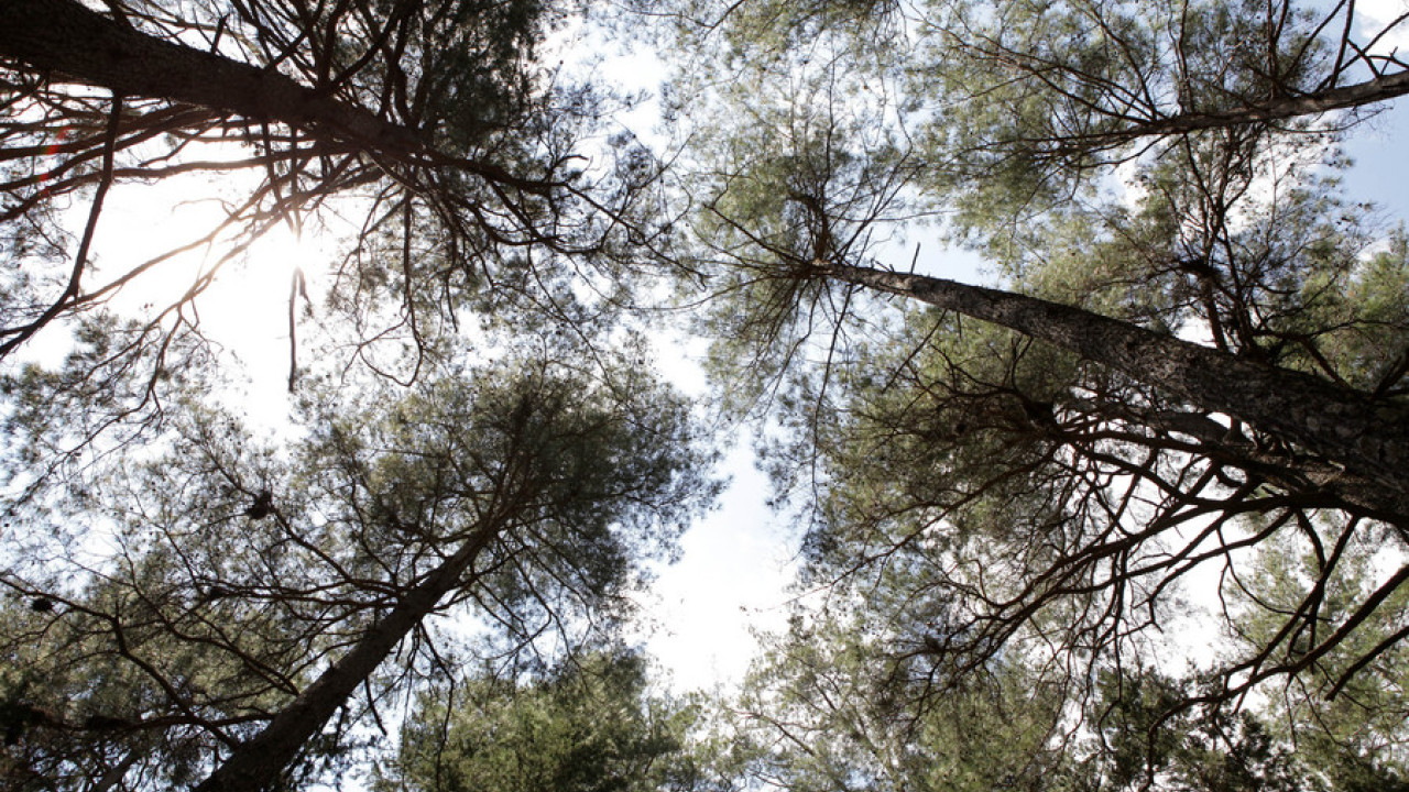Φαράγγι Σαμαριάς: Τραυματίστηκε τουρίστας μετά από πτώση πέτρας