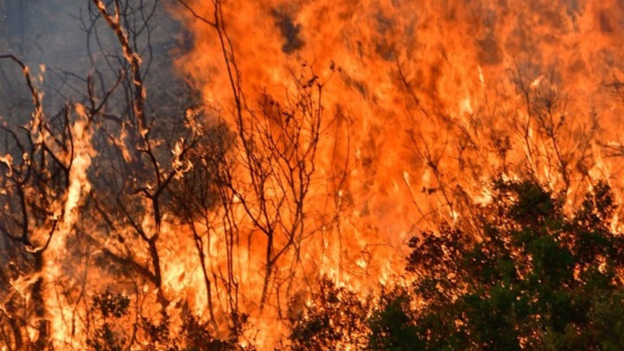 Φωτιά στη Ναυπακτία | ΣΚΑΪ Φωτιά στη Ναυπακτία | ΣΚΑΪ
