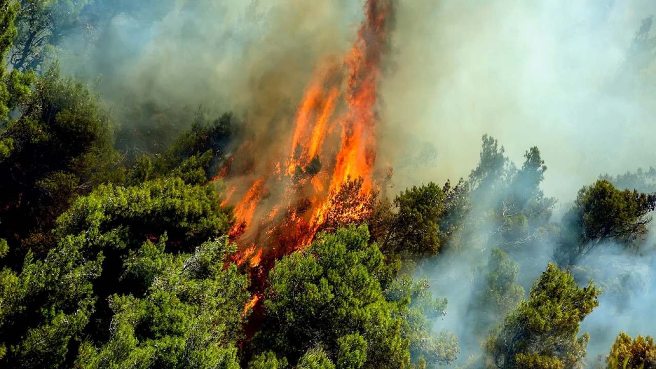 Φωτιές: 50 μέσα σε 24 ώρες πανελλαδικώς Φωτιές: 50 μέσα σε 24 ώρες πανελλαδικώς