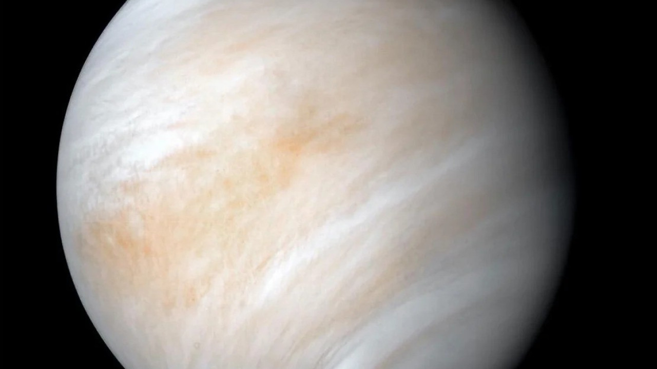 NASA: Ανακάλυψη ζωής στην Αφροδίτη – Νέα επιστημονικά δεδομένα δίνουν ισχυρές αποδείξεις NASA: Ανακάλυψη ζωής στην Αφροδίτη – Νέα επιστημονικά δεδομένα δίνουν ισχυρές αποδείξεις