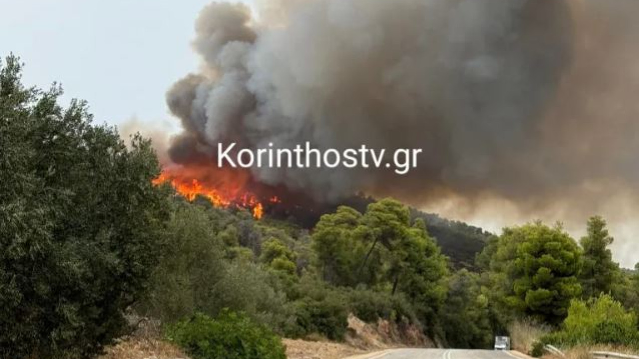 Συνεχίζεται η επιχείρηση κατάσβεσης της φωτιάς στην Κορινθία – Τραυματίστηκε πυροσβέστης