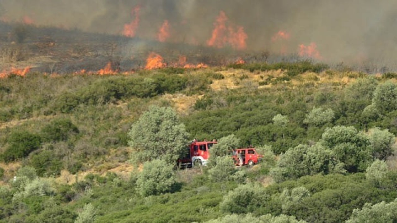 Φωτιά τώρα στη Μεσσηνία Φωτιά τώρα στη Μεσσηνία