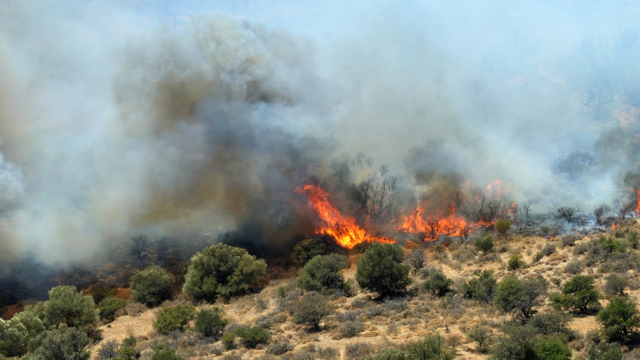 Καλάβρυτα: Φωτιά σε δασική έκταση