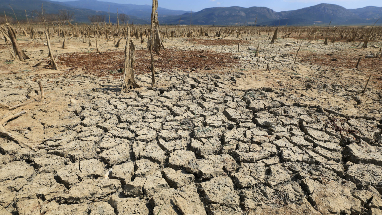 Ο Ιούλιος 2025 ανάμεσα στους τρεις θερμότερους μήνες που καταγράφηκαν ποτέ στη Γη Ο Ιούλιος 2025 ανάμεσα στους τρεις θερμότερους μήνες που καταγράφηκαν ποτέ στη Γη