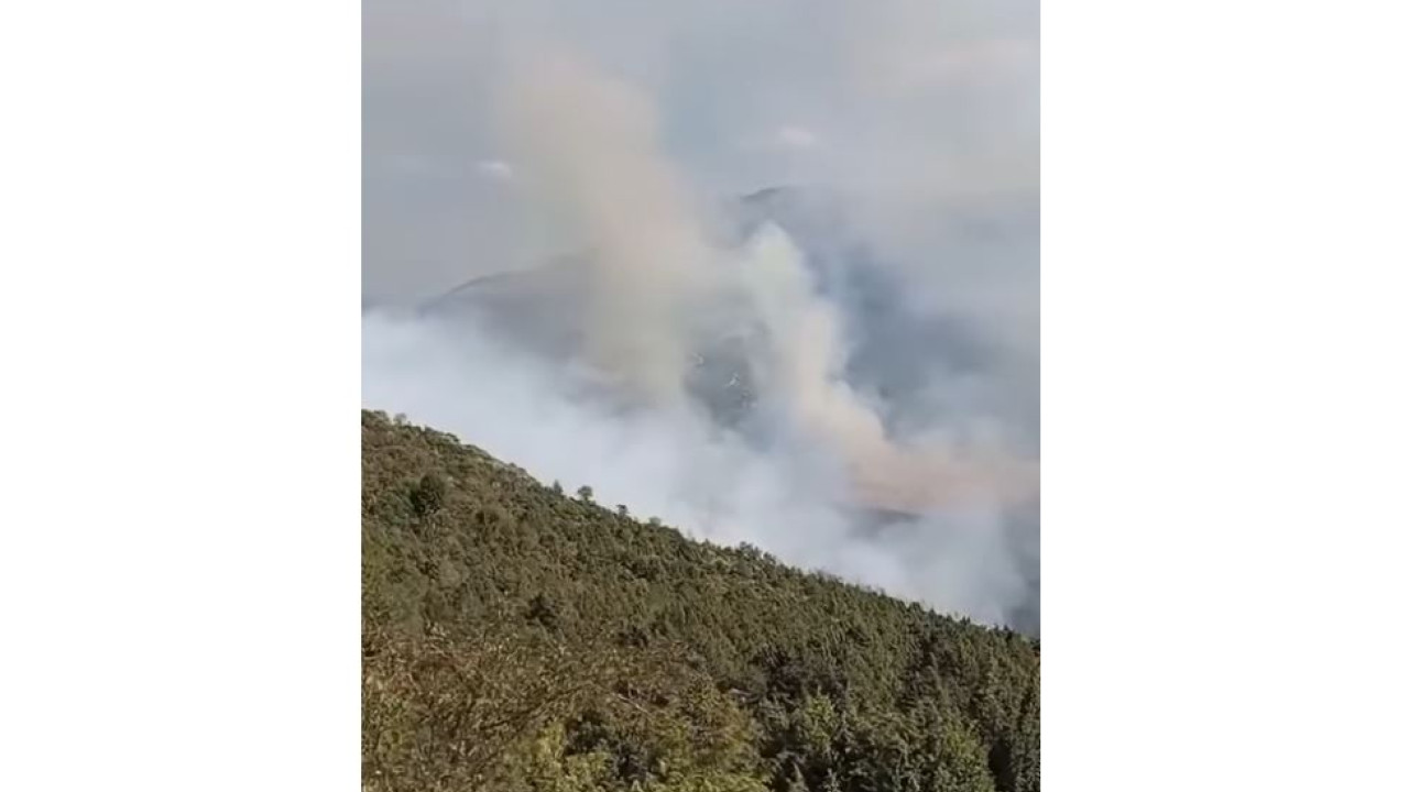 Κοζάνη: Φωτιά στη Βλάστη Εορδαίας- Δείτε βίντεο και φωτογραφίες