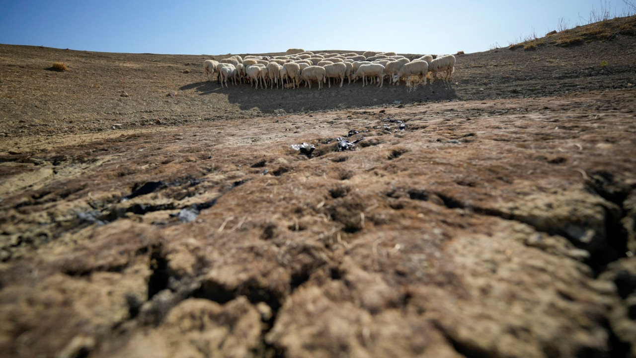 Λειψυδρία: Στην 19η θέση παγκοσμίως η Ελλάδα ως προς τον κίνδυνο ανεπάρκειας νερού Λειψυδρία: Στην 19η θέση παγκοσμίως η Ελλάδα ως προς τον κίνδυνο ανεπάρκειας νερού