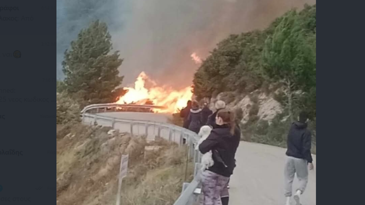 Λευκάδα: Φωτιά στο Κάθισμα | ΣΚΑΪ