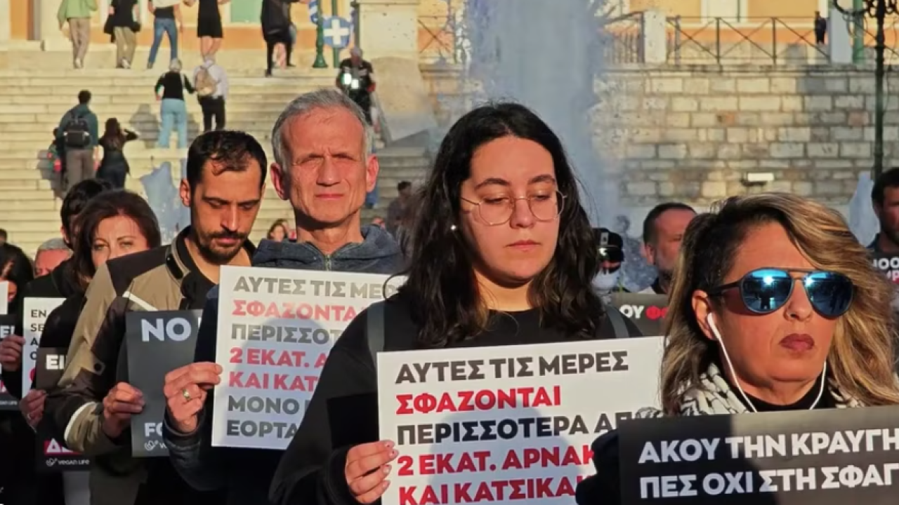 Σύνταγμα: Διαμαρτυρία από vegans κατά της σφαγής αμνοεριφίων για το Πάσχα Σύνταγμα: Διαμαρτυρία από vegans κατά της σφαγής αμνοεριφίων για το Πάσχα