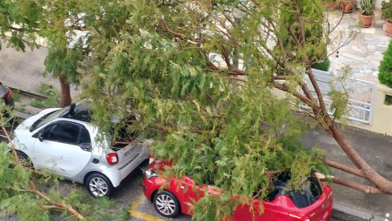 Η κακοκαιρία έπληξε και τη Ρόδο: Ανεμοστρόβιλος ξερίζωσε δέντρα, έσπασαν τζαμαρίες – Σε κατάσταση έκτακτης ανάγκης η Πάρος