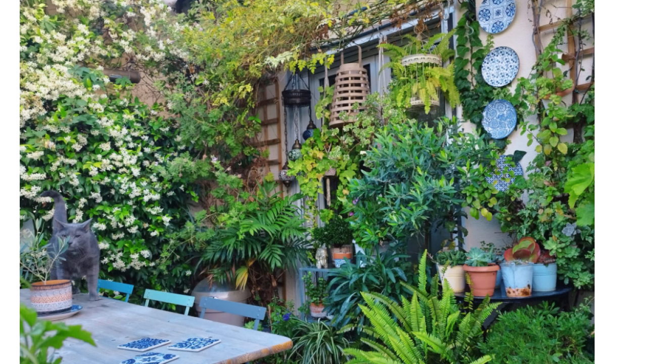 Δήμος Αθηναίων: Διαγωνισμός για τα πιο πράσινα μπαλκόνια της πόλης Δήμος Αθηναίων: Διαγωνισμός για τα πιο πράσινα μπαλκόνια της πόλης