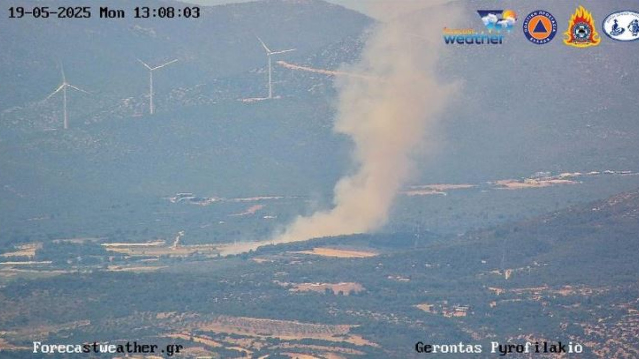 Φωτιά στη Ριτσώνα: Κινητοποιήθηκαν δεκάδες πυροσβέστες