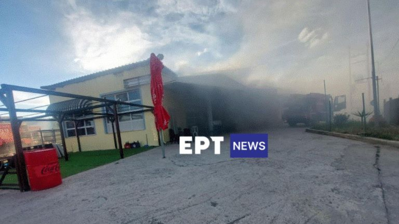 Λέσβος: Μεγάλη φωτιά νωρίς το πρωί σε σούπερ μάρκετ Λέσβος: Μεγάλη φωτιά νωρίς το πρωί σε σούπερ μάρκετ