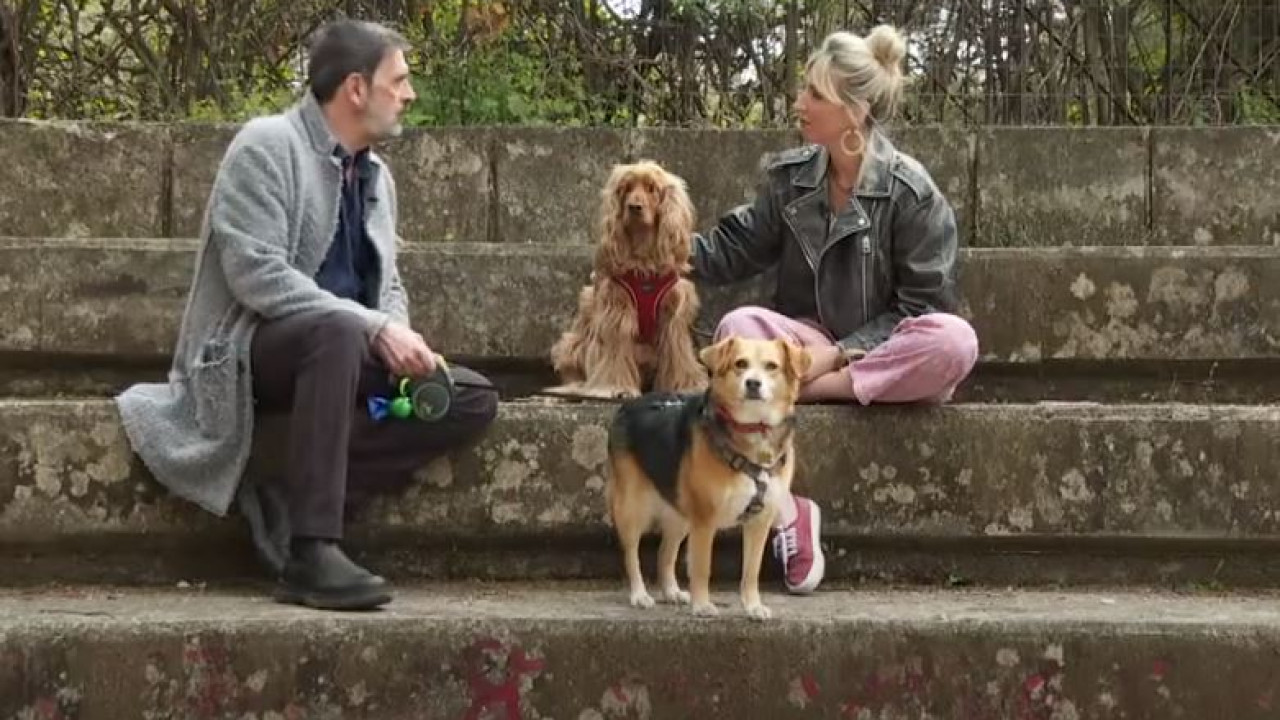 Pet Stories – Ο Λεωνίδας Κακούρης μάς συστήνει τη Λίνα του: «Την έχω πάρει στο θέατρο» Pet Stories – Ο Λεωνίδας Κακούρης μάς συστήνει τη Λίνα του: «Την έχω πάρει στο θέατρο»
