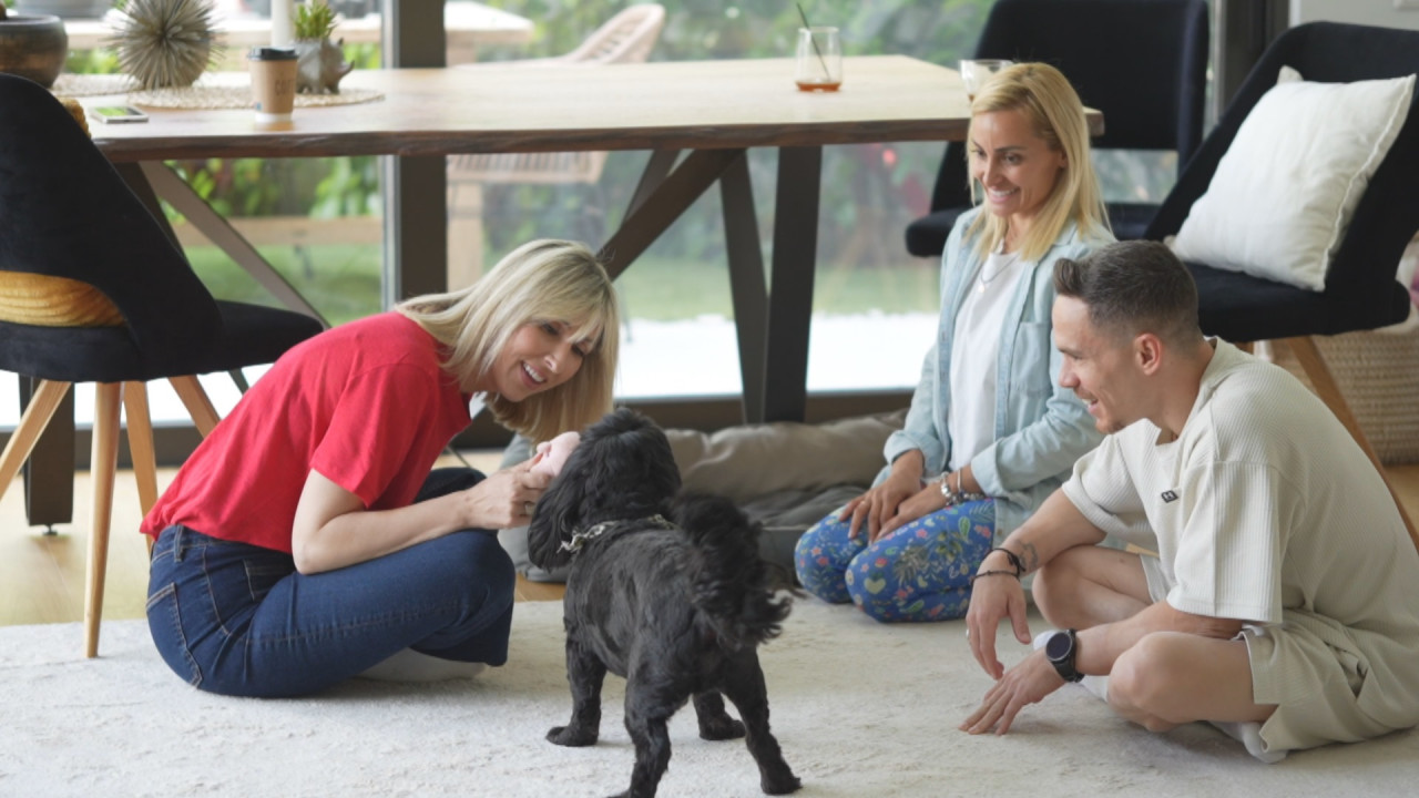 Pet Stories: Στο 1ο επεισόδιο ο Λευτέρης Πετρούνιας και η Βασιλική Μιλλούση (trailer) Pet Stories: Στο 1ο επεισόδιο ο Λευτέρης Πετρούνιας και η Βασιλική Μιλλούση (trailer)