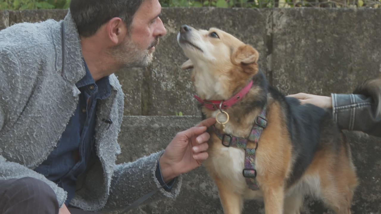 Pet Stories: Στο 2ο επεισόδιο, ο Λεωνίδας Κακούρης και η σκυλίτσα του Λίνα