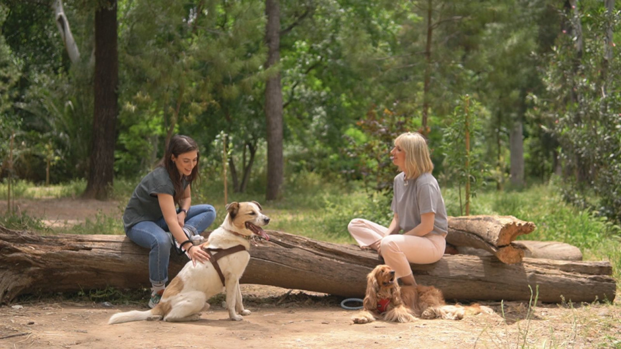 Pet Stories: Στο 3ο επεισόδιο, η Μάρθα Λαμπίρη Φεντόρουφ και ο σκύλος της Diego Pet Stories: Στο 3ο επεισόδιο, η Μάρθα Λαμπίρη Φεντόρουφ και ο σκύλος της Diego