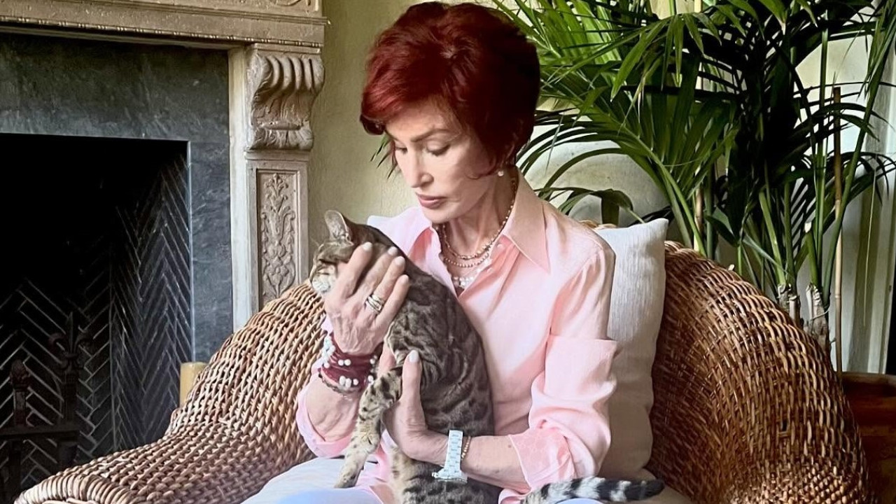 «Λιώνει» η Sharon Osbourne: Σοκάρει η εμφάνισή της – Δεν μπορεί να πάρει καθόλου βάρος «Λιώνει» η Sharon Osbourne: Σοκάρει η εμφάνισή της – Δεν μπορεί να πάρει καθόλου βάρος