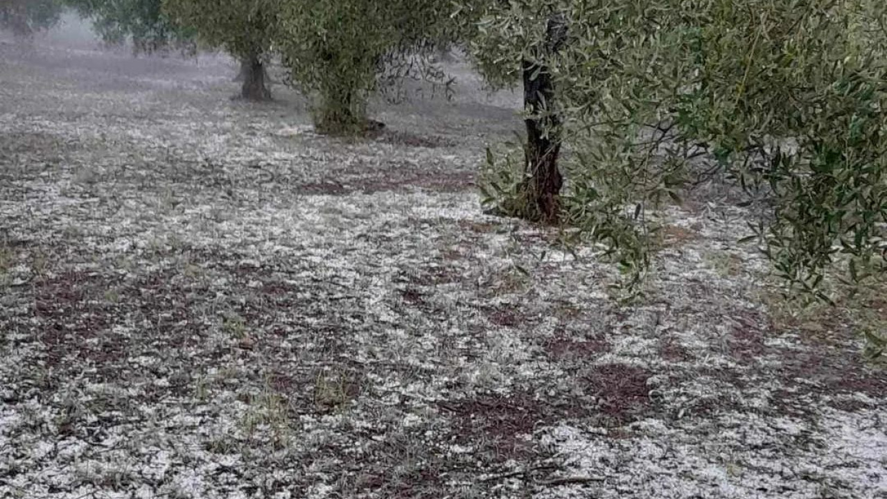 Χαλκιδική: Άσπρισε ο τόπος από το χαλάζι σε Ορμύλια και Βράσταμα Χαλκιδική: Άσπρισε ο τόπος από το χαλάζι σε Ορμύλια και Βράσταμα
