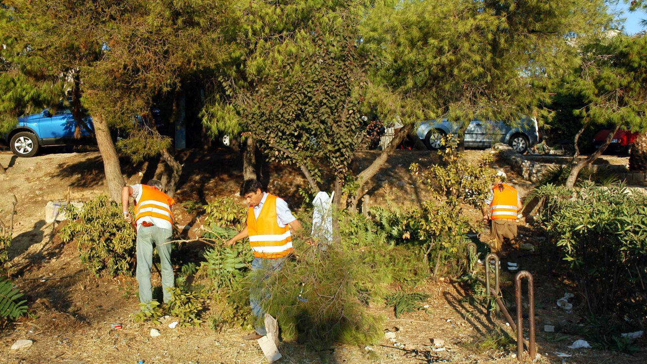 Καθαρισμοί οικοπέδων: Σχεδόν 320.000 οι δηλώσεις – Πάνω από 312 δήμοι έχουν χρησιμοποιήσει την πλατφόρμα Καθαρισμοί οικοπέδων: Σχεδόν 320.000 οι δηλώσεις – Πάνω από 312 δήμοι έχουν χρησιμοποιήσει την πλατφόρμα