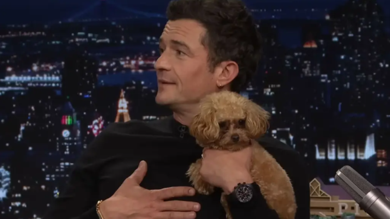 Ορλάντο Μπλουμ: Μόνος με τον σκύλο του, στο Tonight Show χωρίς την Κέιτι Πέρι Ορλάντο Μπλουμ: Μόνος με τον σκύλο του, στο Tonight Show χωρίς την Κέιτι Πέρι