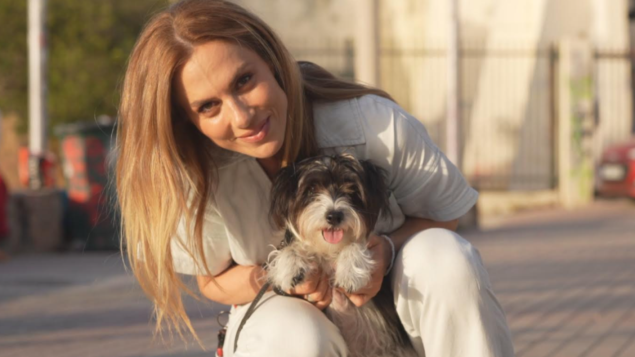 Η Ντορέττα Παπαδημητρίου στην εκπομπ;ή Pet Stories: Τι είπε για τα αδέσποτα Η Ντορέττα Παπαδημητρίου στην εκπομπ;ή Pet Stories: Τι είπε για τα αδέσποτα