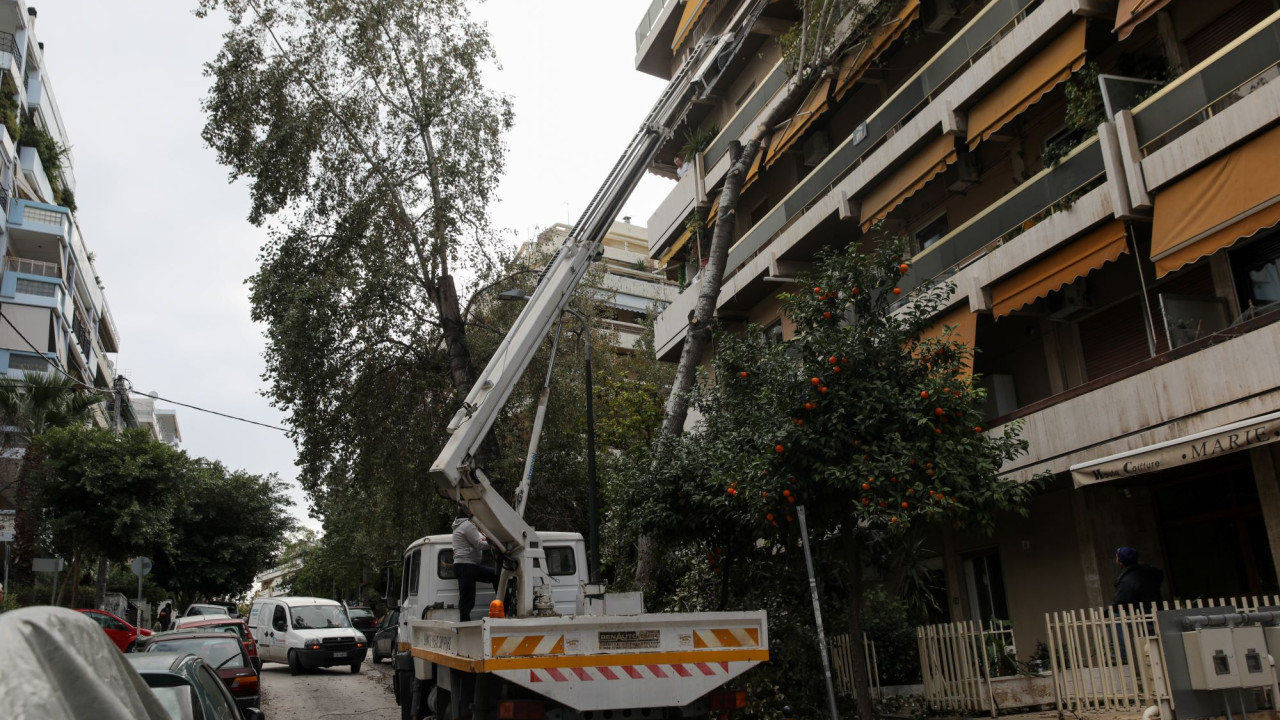 Δέντρο έπεσε σε αυτοκίνητο στην Κηφισιά