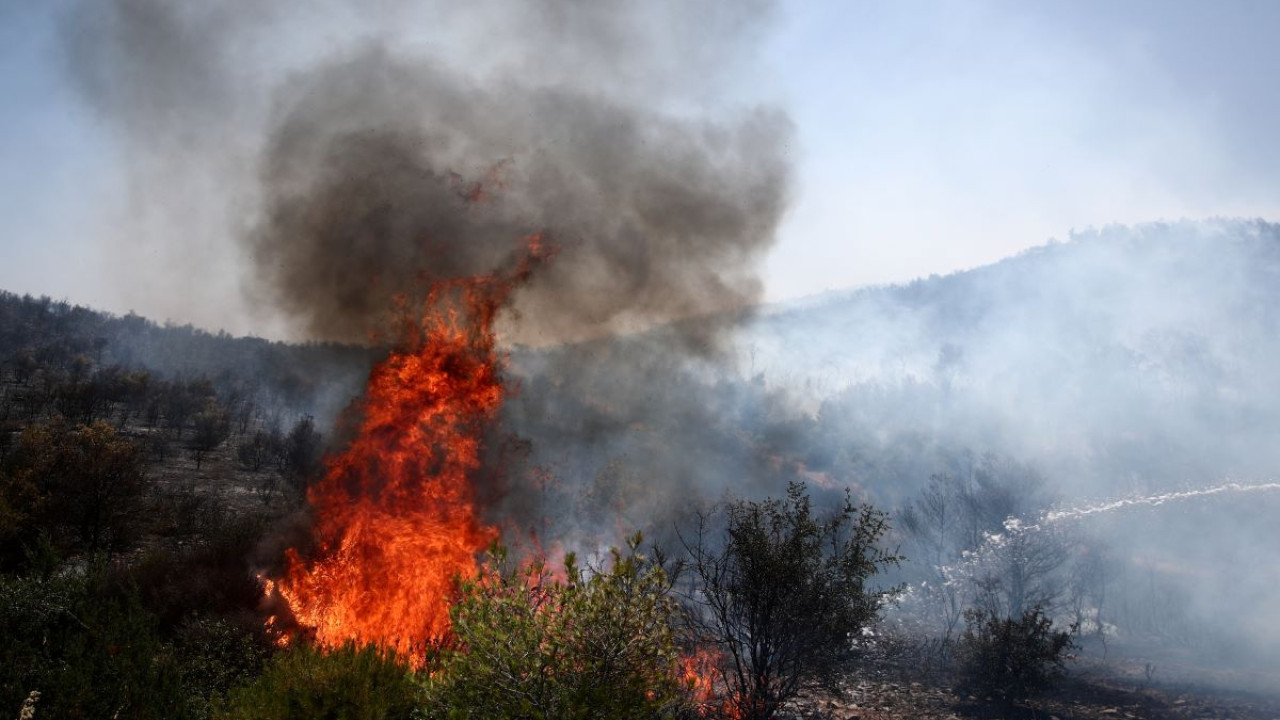 Φωτιά σε χαμηλή βλάστηση στην Τήνο Φωτιά σε χαμηλή βλάστηση στην Τήνο