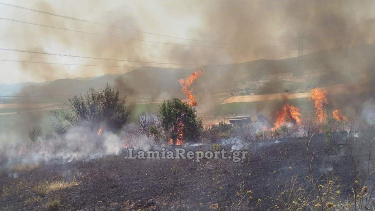 Φωτιά σε αγροτοδασική έκταση στο Δομοκό Φωτιά σε αγροτοδασική έκταση στο Δομοκό