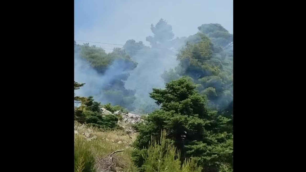 Φωτιά στα Βίλια Αττικής – Ισχυρές δυνάμεις της Πυροσβεστικής μεταβαίνουν στο σημείο (video)