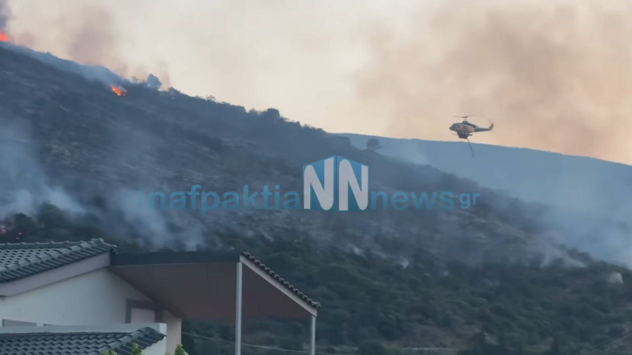 Μεγάλη φωτιά στην περιμετρική της Ναυπάκτου – Ήχησε το 112 Μεγάλη φωτιά στην περιμετρική της Ναυπάκτου – Ήχησε το 112