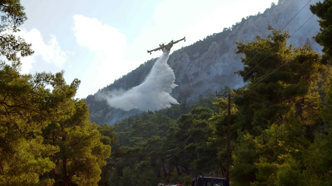 Φωτιά σε Σέρρες και Θεσσαλονίκη – Υπό πλήρη έλεγχο η φωτιά στο Λασίθι Φωτιά σε Σέρρες και Θεσσαλονίκη – Υπό πλήρη έλεγχο η φωτιά στο Λασίθι