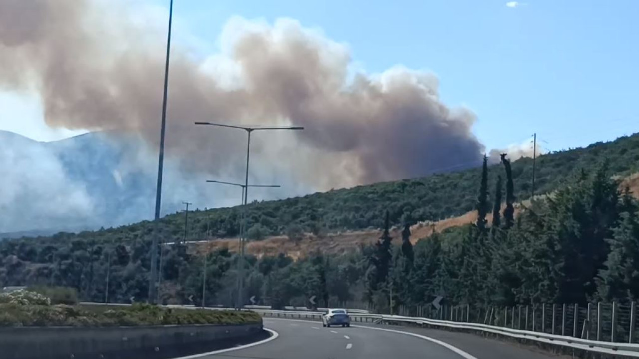 Φωτιά σε γεωργική έκταση στο Αχλάδι Φθιώτιδας - Ήχησε το 112: «Παραμείνετε σε ετοιμότητα» (Βίντεο)