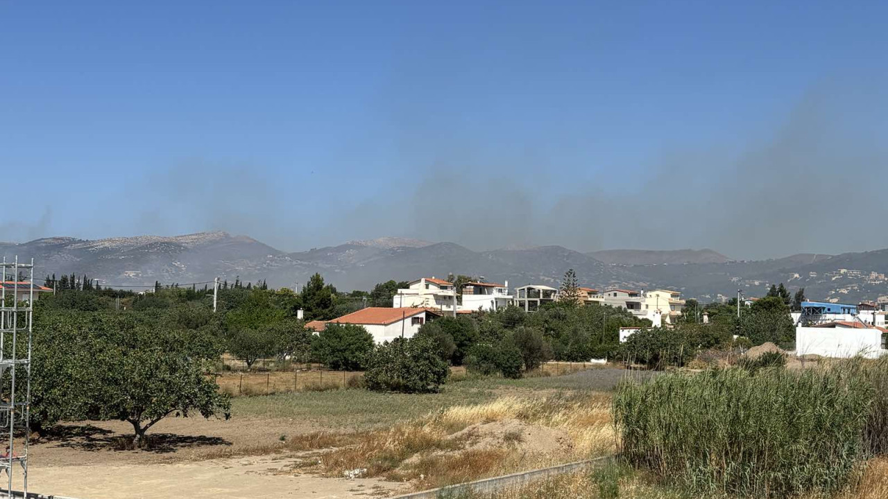 Φωτιά σε χαμηλή βλάστηση στην Ανάβυσσο Φωτιά σε χαμηλή βλάστηση στην Ανάβυσσο