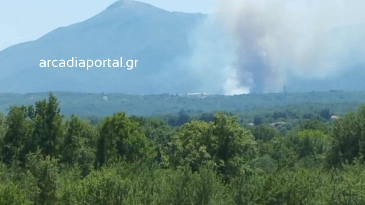 Φωτιά στη Βελιγοστή Αρκαδίας Φωτιά στη Βελιγοστή Αρκαδίας