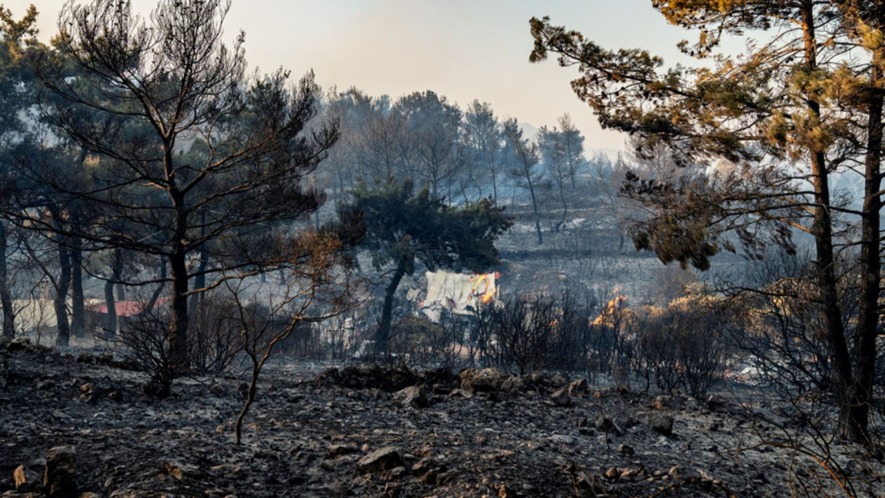 Φωτιές στη Χίο: Στάχτη πάνω από το 1/13 της συνολικής έκτασης του νησιού