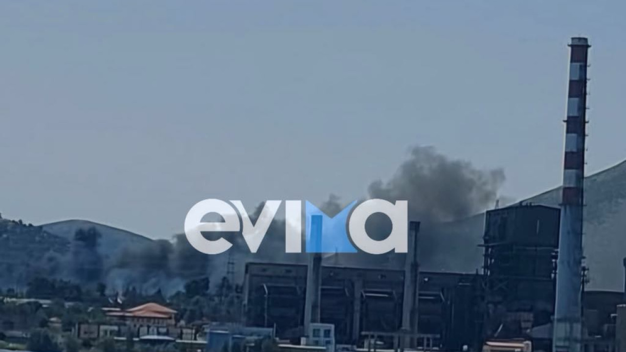 Φωτιά στην Εύβοια – Κοντά στο εργοστάσιο της ΔΕΗ οι φλόγες