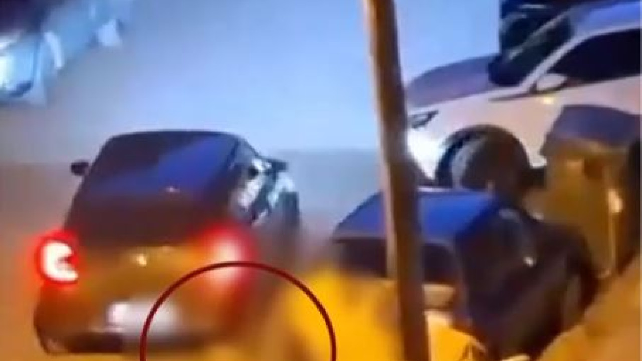 Θεσσαλονίκη: Νεαρός κλωτσάει γάτα και στη συνέχεια την πατά με το ΙΧ – Συνελήφθη 34χρονος